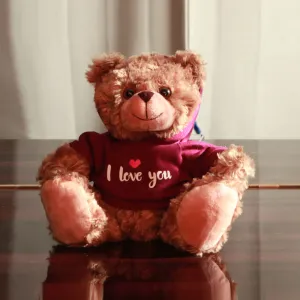 11" Mocha Sitting Bear with Maroon I love you Hoodie