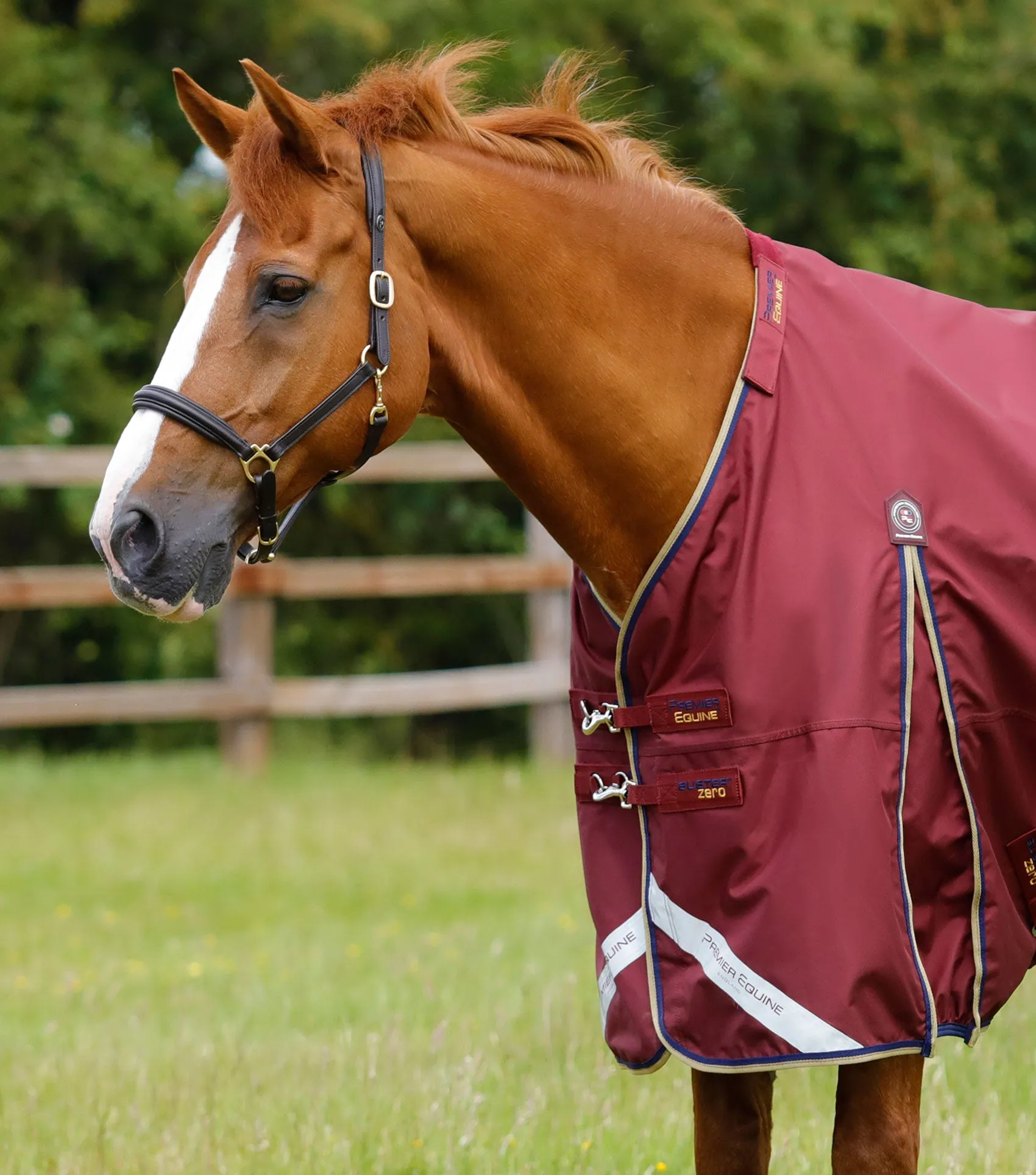 Buster Zero Turnout Rug with Classic Neck Cover Burgundy