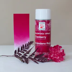 Cranberry Design Master Colortool Floral Spray Paint