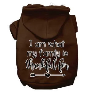 I Am What My Family Is Thankful For Screen Print Dog Hoodie Brown L