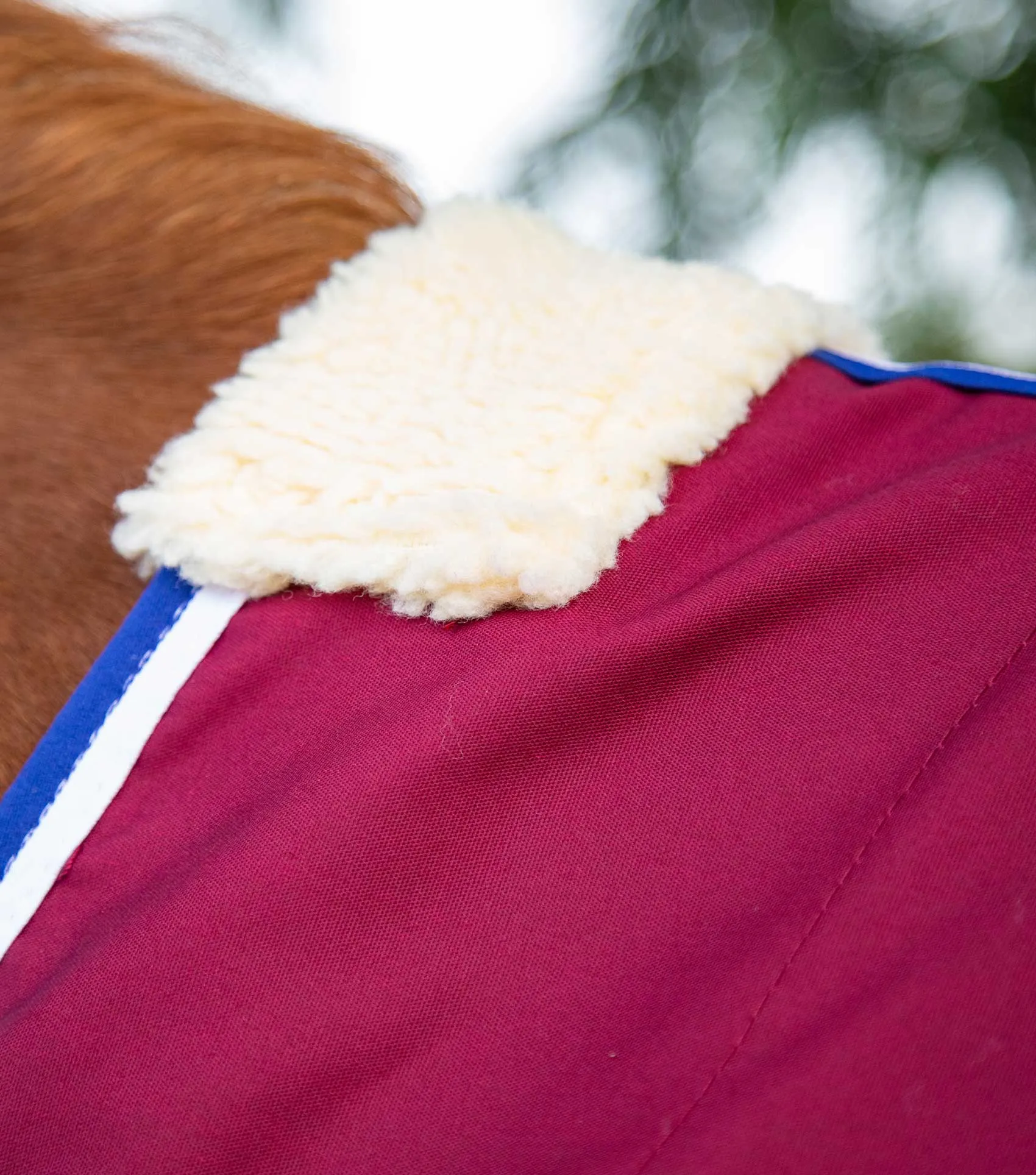 Stratus Horse Stable Sheet Burgundy