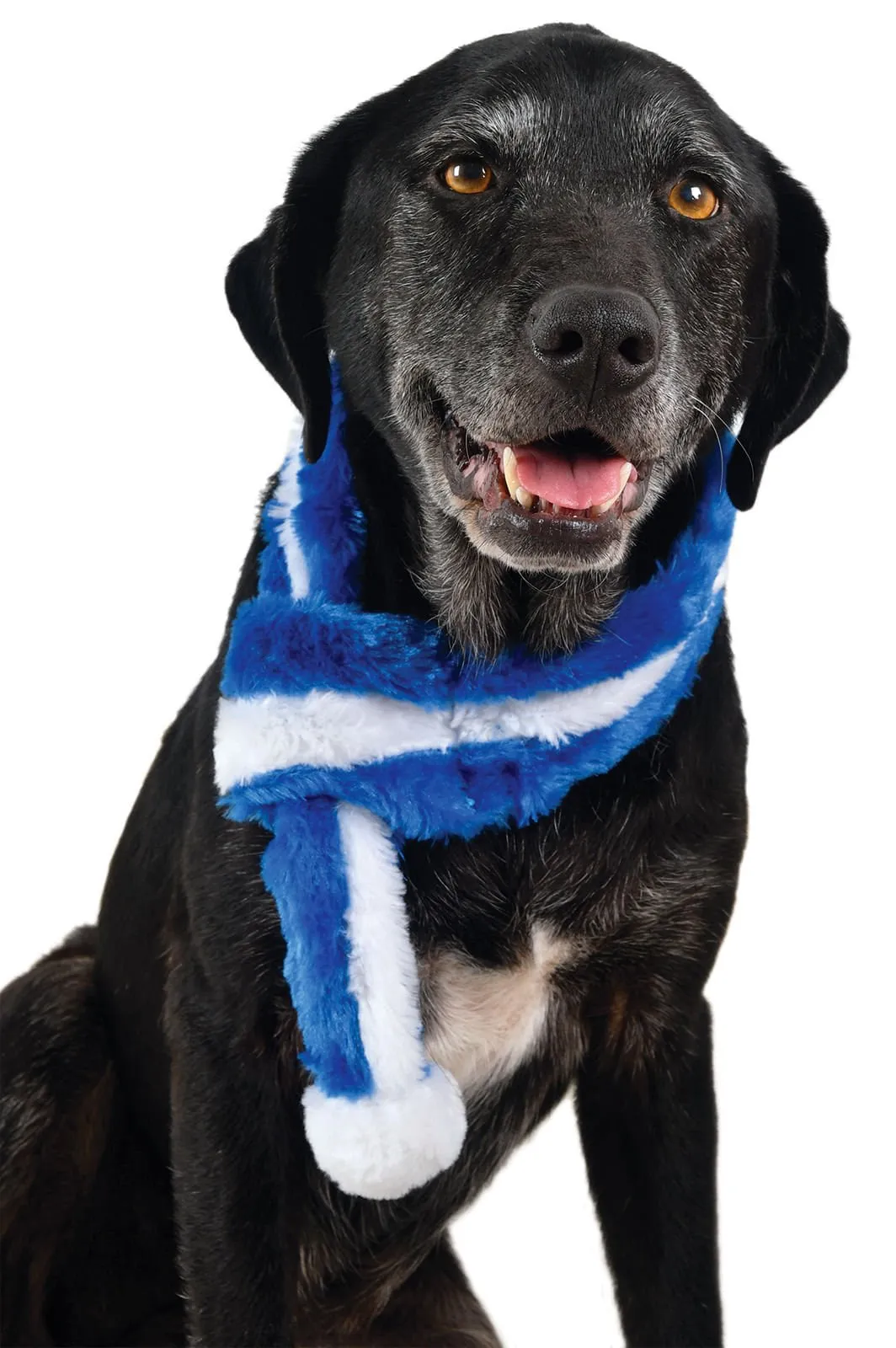 Zippy Paws Blue Scarf